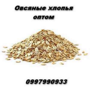 ������� ������ ����� � ������� �� �������� ����. - ����������� 1