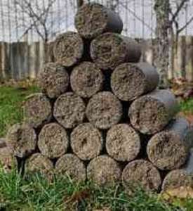 ������� ������ �����, ������ - ����������� 1