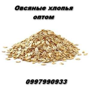 ������� ������ ������ ��� - ����������� 1