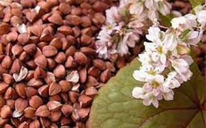 ������� ������ ������ ����� �� ��������� - ����������� 1