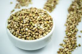 ������� ������ ������ ������ ������ - ����������� 1