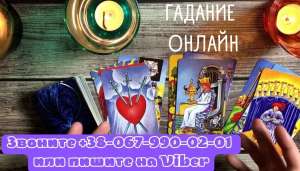 ������� ������. �������� ��������. ������ �����. ������ �����������. ��������. ������ �����. ������������. - ����������� 1