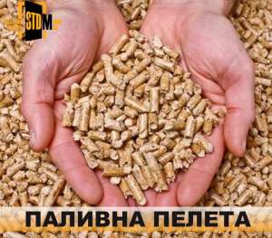 ������� ������ (��������� �������), ����� - ����������� 1