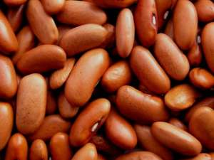 ������� �������. 20 ����� - ����������� 1