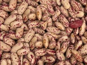 ������� �������. - ����������� 1