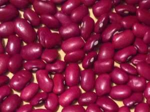 ������� �������. - ����������� 1