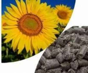 �������, ������� ��� �� 22 ���� - ����������� 1