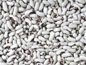 ������� ������� ����� - ����������� 1