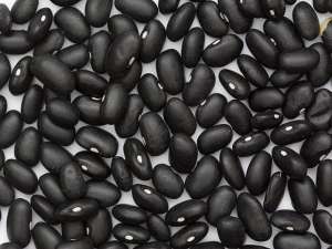 ������� ������� ����� �����. - ����������� 1