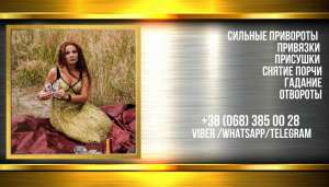 ������� �������. �������� �������� ����. - ����������� 1