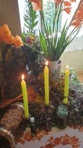 �������. �������� - ����������� 1