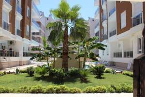 ������� �������� � ������� - ����������� 1