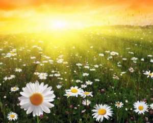 ������� �������� � ���������, ����� ��������, �������� �� ����. ������� ����, ���������� ������, ����� ����� - ����������� 1