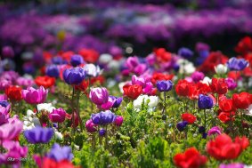 ������� �������� �� ���� � �����. ���������� ������, ������� ����, ������� ����, ���������� ������ - ����������� 1