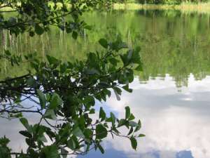 ������� �������� �� ������ ��������� - ����������� 1