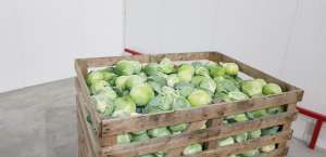 ������� ��������. ���� ������� - ����������� 1