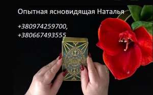 ������� �������� �����. ������ � �������. ������� �������. - ����������� 1