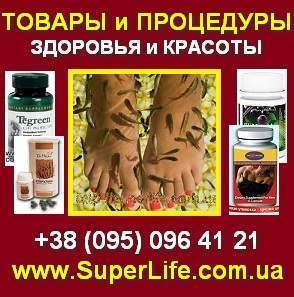 �������, ��������, ���������, �������, ���-������, ���������, �����. - ����������� 1