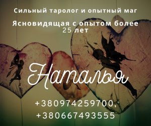 ������� ��������. ���������� �� �����������. ������ �������. - ����������� 1