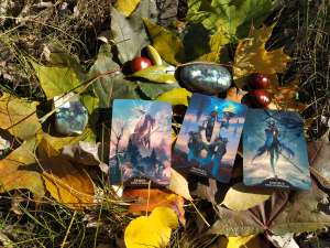 �������. ��������. �����������. ������ ������������ � ������� - ����������� 1