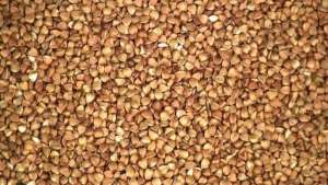 ������� (��������� ����� - 5 ����) - ����������� 1