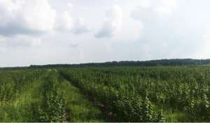 ������� ��������� ����� ����� - ����������� 1