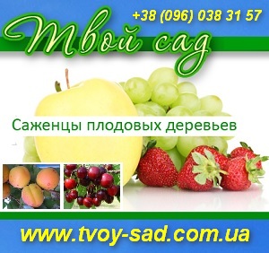 ������� ��������� �������� ������� 2013 ����. ���. - ����������� 1