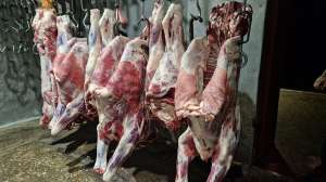 �������, ���������, ��������, �������� - ����������� 1