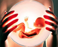 ������� ���������� ����� �� ������� ���������� - ����������� 1