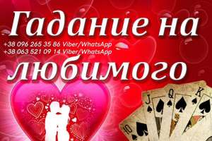 �������. ���������� ������. ������ �������. - ����������� 1