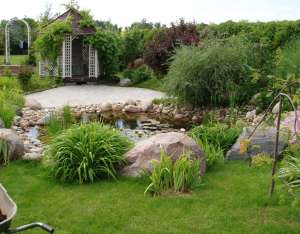 ������� ����������� - ����������� 1