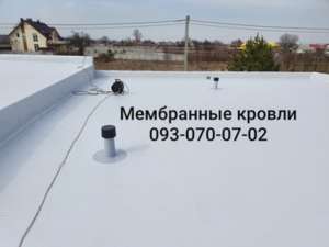 ������� ����������� ���� � ��������� - ����������� 1