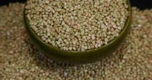 ������� ����������� ����� ������ - ����������� 1