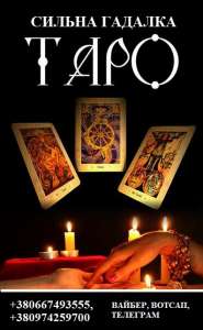 ������� �����������. ������ ������� ������. �������� �������. - ����������� 1