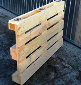 �������. �����������, ������� �����������. - ����������� 1