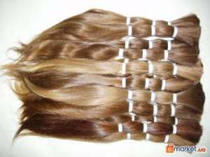 ������� ����������� ���������� ����� - ����������� 1