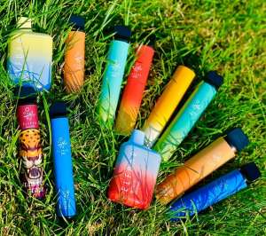 ������� ����������� ����������� ������� "���������" - ����������� 1