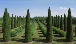 ������� ������������ ��� ���������� - ����������� 1