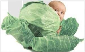 ������� �������������� �������� ���������� ����������� ��� � ������� ���������� - ����������� 1