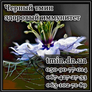 �������� 2016. ��� �������� ���� ��������� ���� - ����������� 1