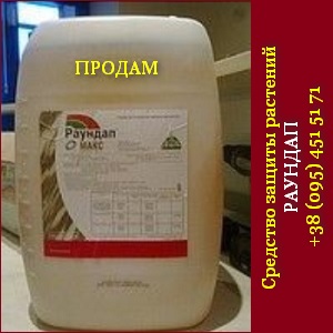 �������� 2016 �������. �������� ������ �������� - ����������� 1