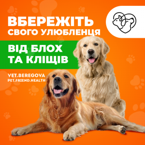 �������� Bravekto - �������� ����� ��������� �� ���� �� �����. - ����������� 1