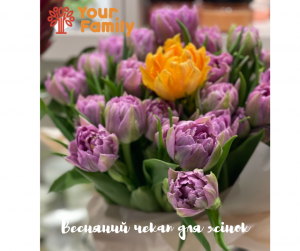 �������� Check-up ��� ���� � ��������� ����� Your baby. - ����������� 1