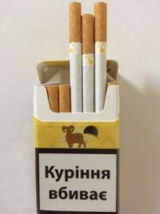 �������� Jin-Ling 20 ������� � ����� ������� ������� (390$) - ����������� 1