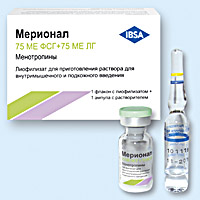 �������� Merional ����� ���������� ����� - ����������� 1