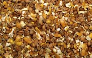 �������� � ���. ������ �������� - ����������� 1