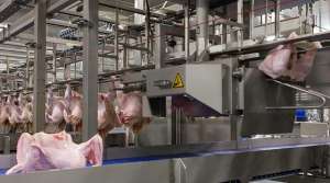 �������� � ���������� ������� - ����������� 1