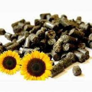 �������� �� 22� ������ �� ������� (��������, ������) - ����������� 1