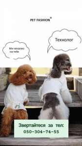 �������� �� ������� �����������(�����,������) - ����������� 1