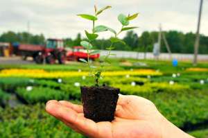 �������� ��� ������ �������� �� ��������"B&S Product" - ����������� 1